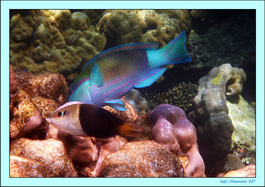 2011 - 03 - Koh Rok 28